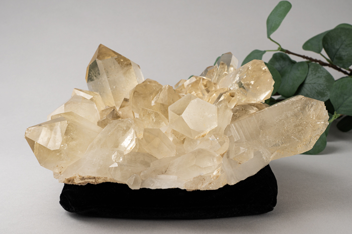 天然シトリン クラスター