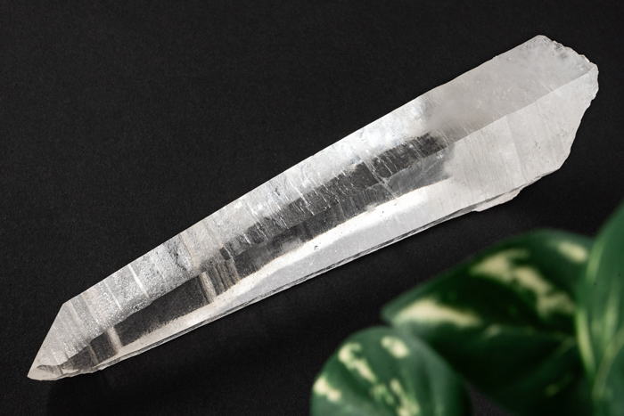 ブラジル産 レムリアンシード ポイント