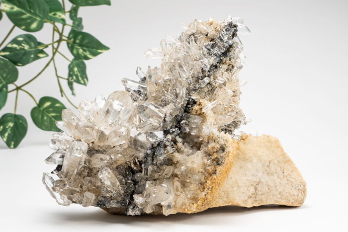 ヒマラヤ産 トルマリンinクォーツ クラスター