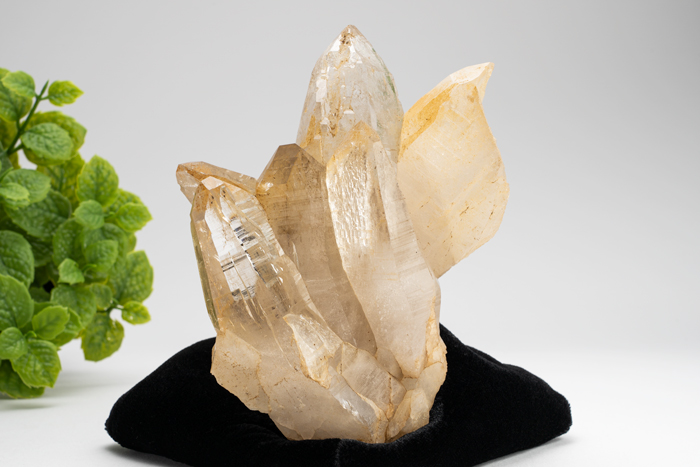 ネパール・ヒンドゥン産 ガネッシュヒマール水晶 原石