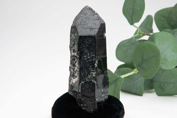 チベット産 モリオン 原石